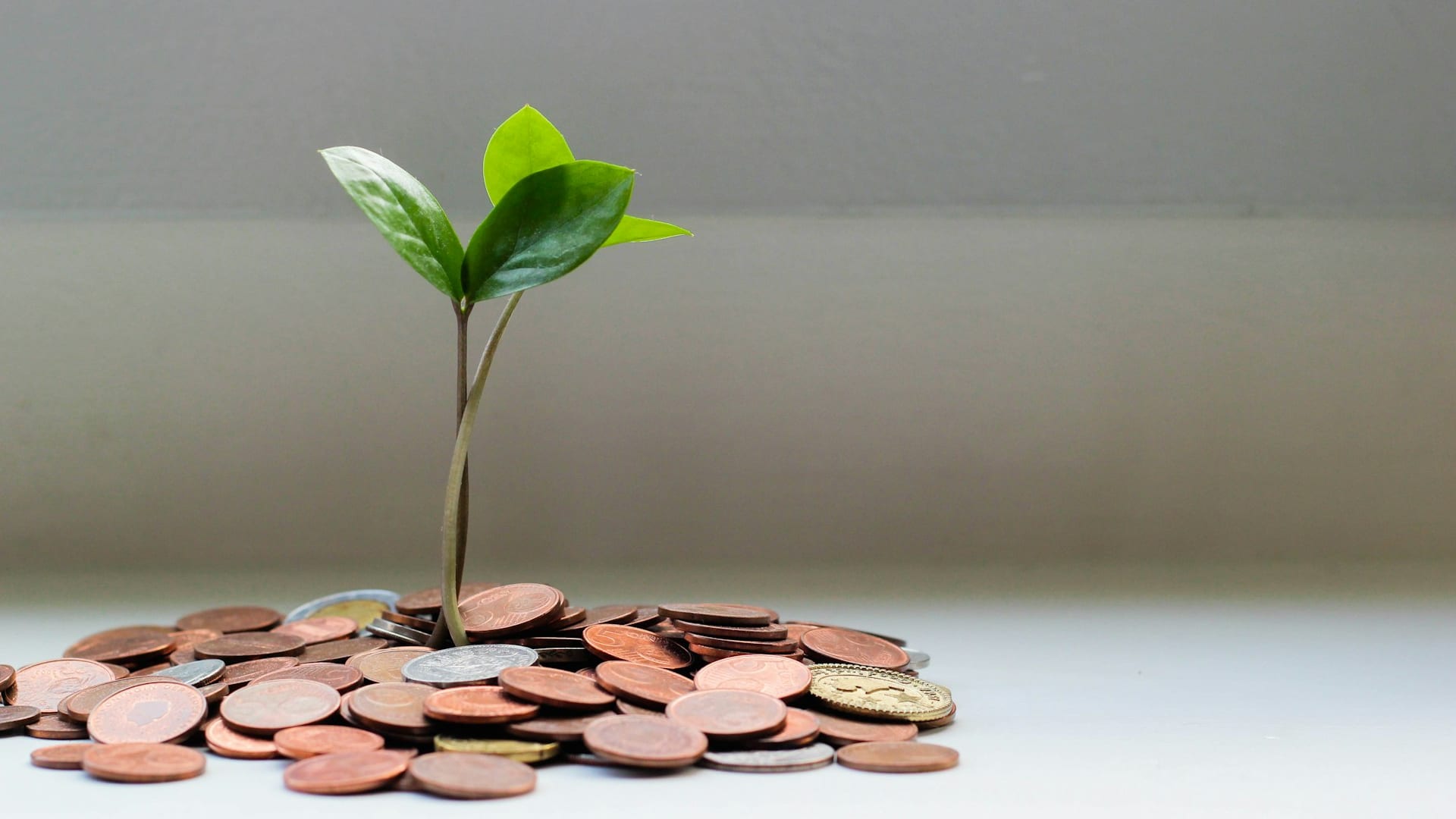 Consultoria e Organização Patrimonial